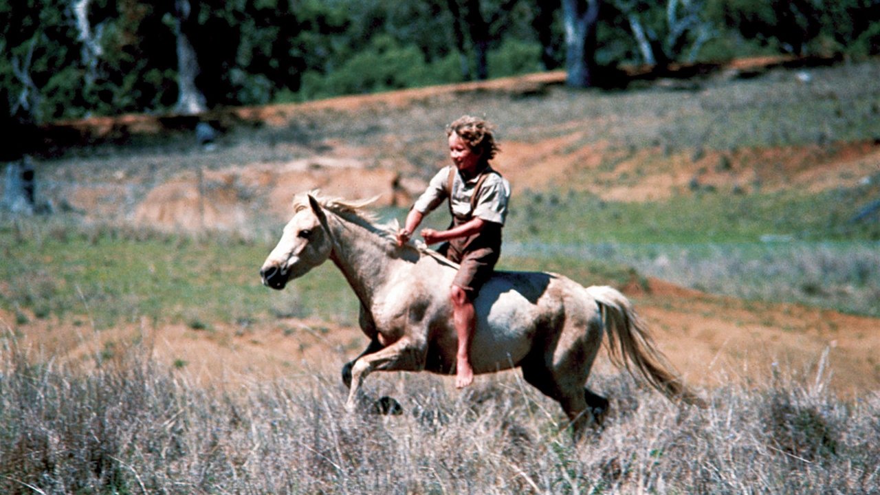 A Cavallo di un Pony Selvaggio