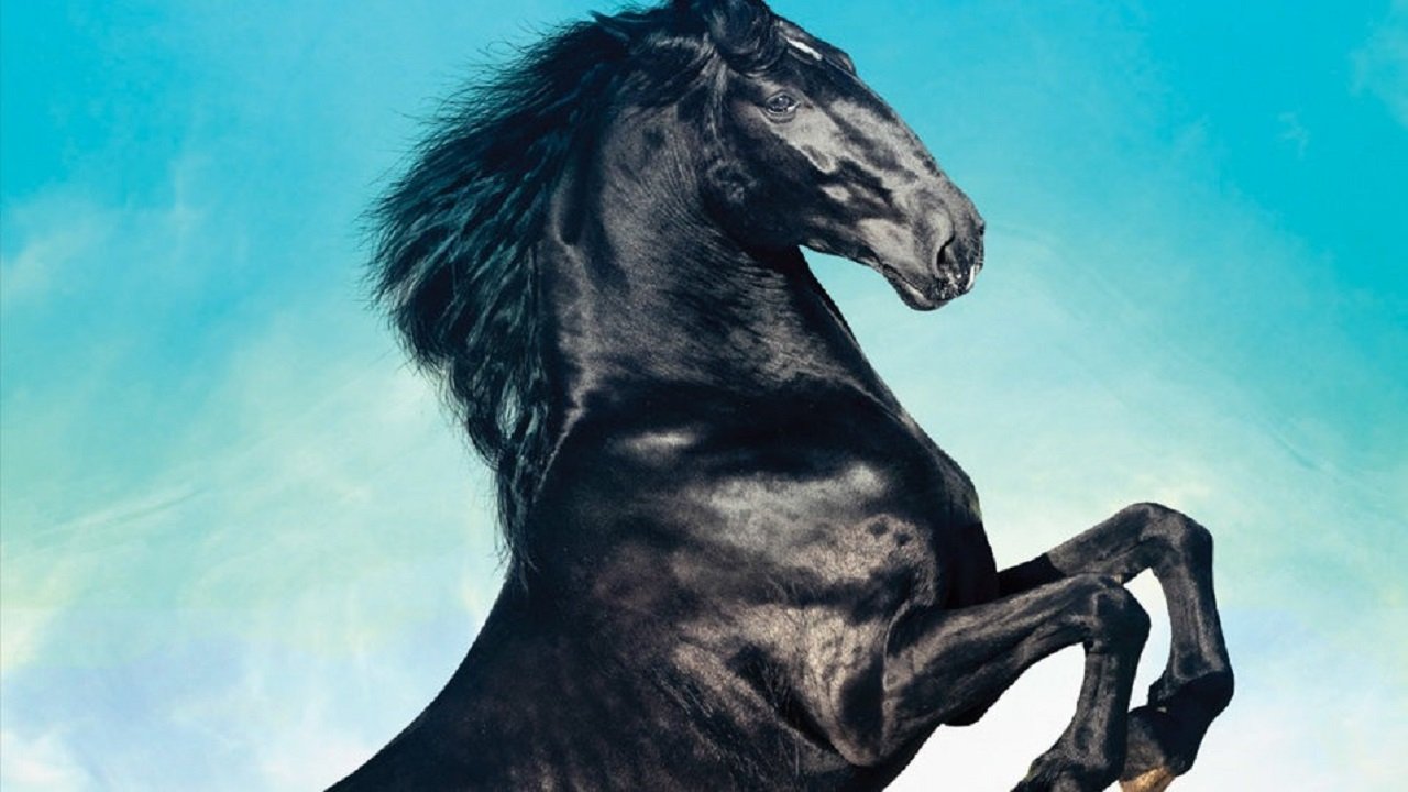Black Beauty - Una storia di coraggio