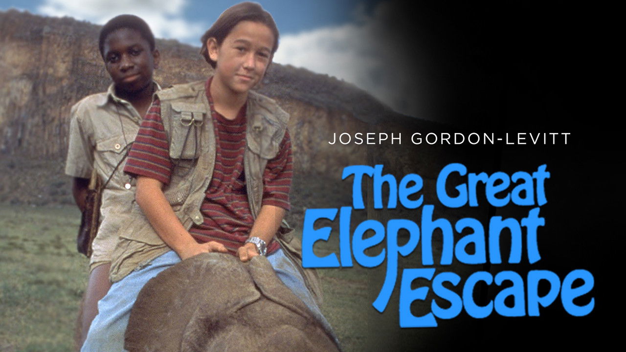 Ellie - Un elefante da salvare