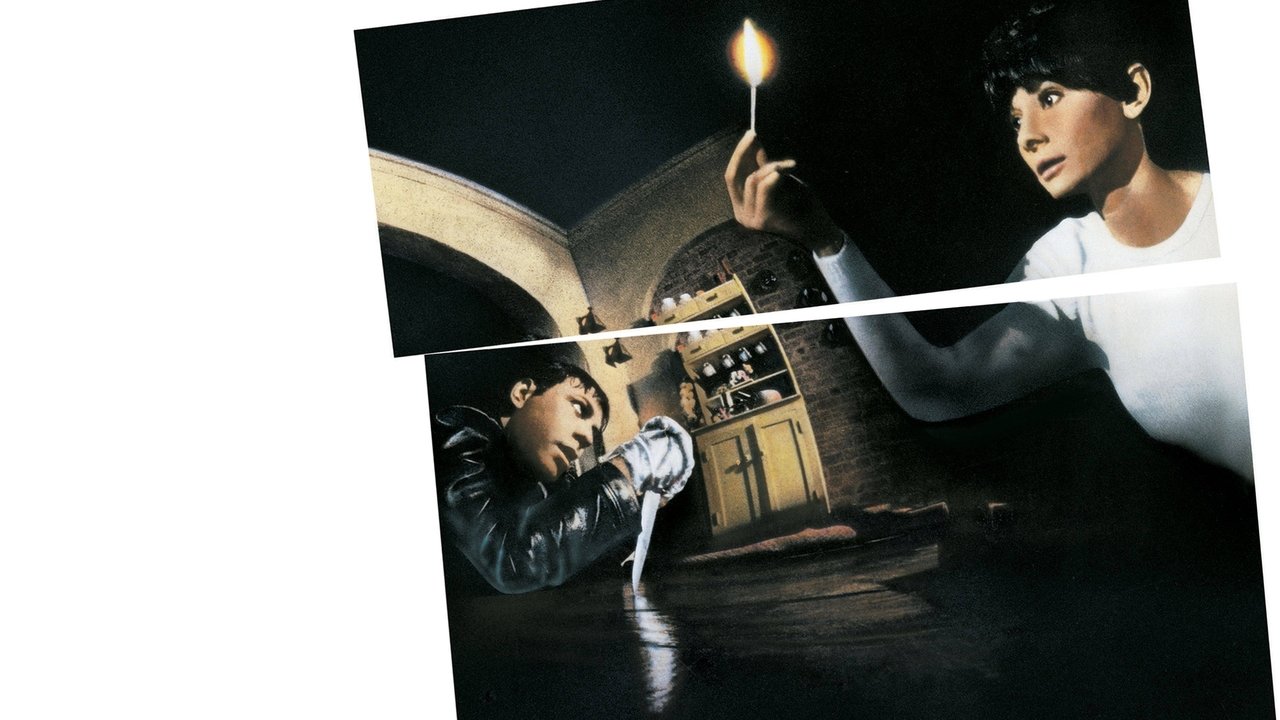 Gli occhi della notte