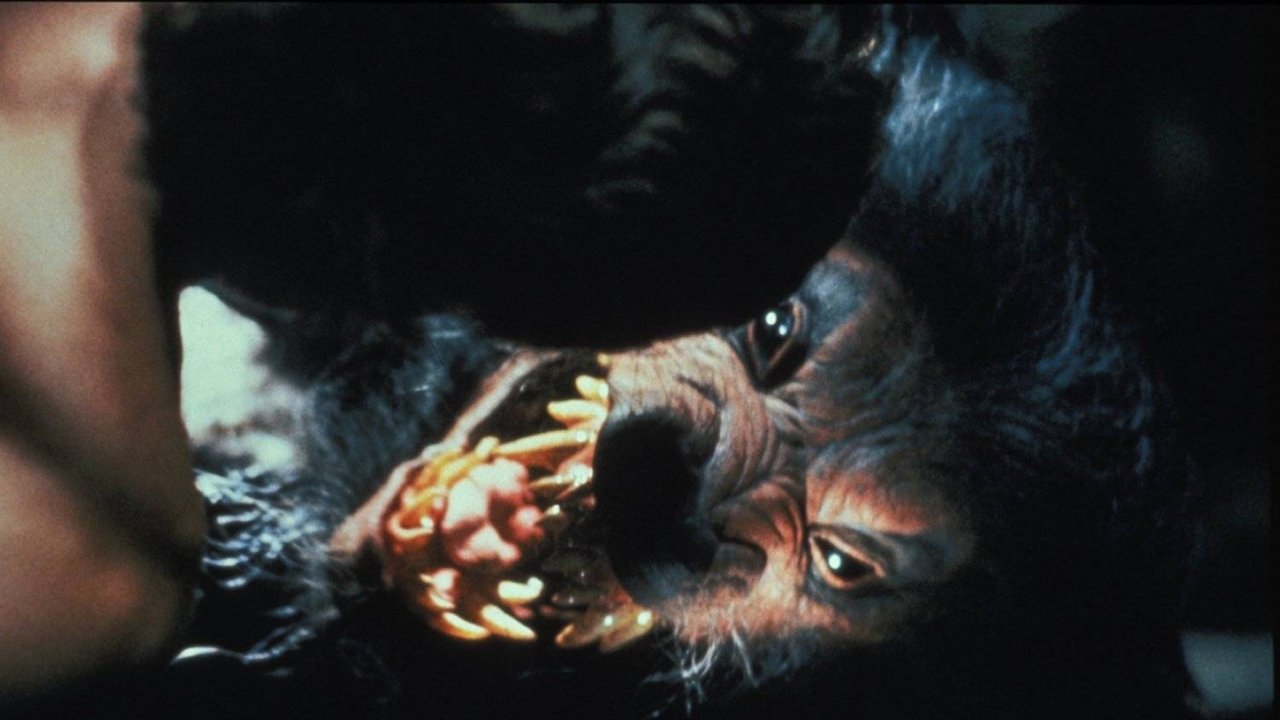 Howling V: La rinascita