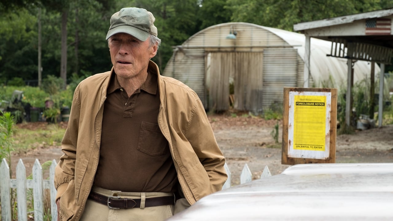 Il corriere - The Mule