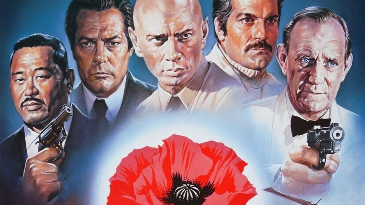 Il papavero è anche un fiore