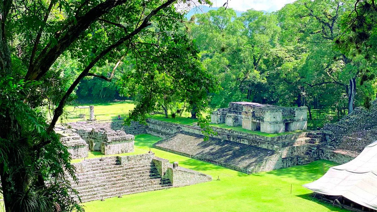 La caduta dei re Maya
