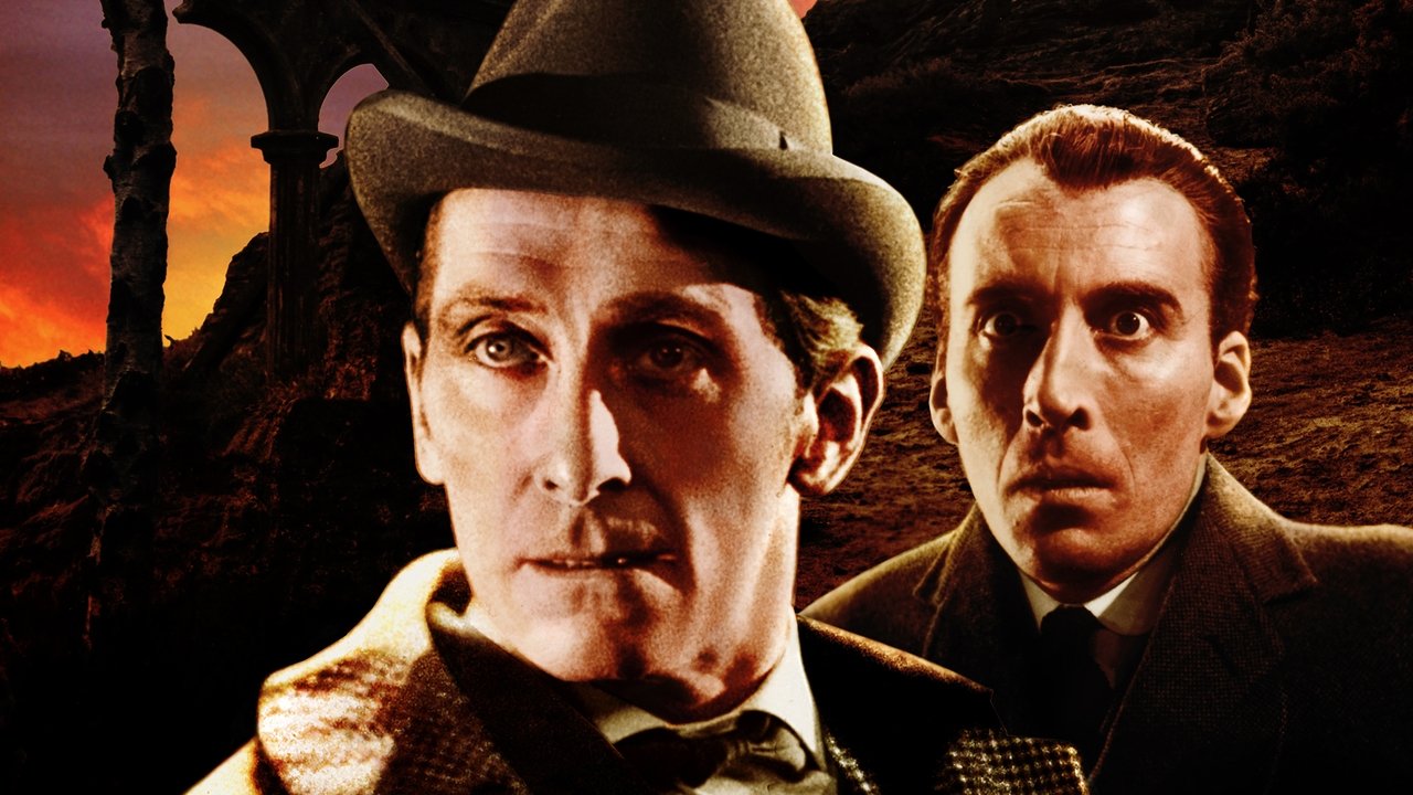 La furia dei Baskerville
