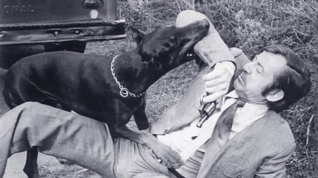 La gang dei doberman colpisce ancora