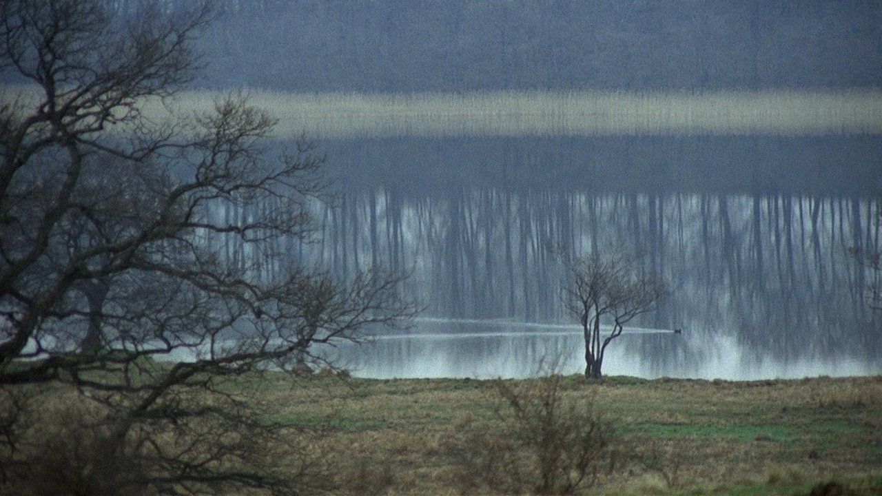 La nuova terra