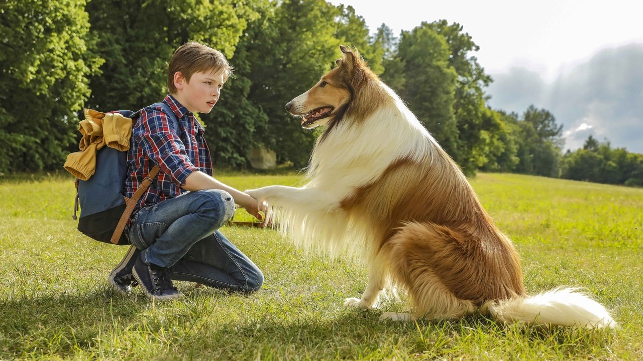 Lassie torna a casa