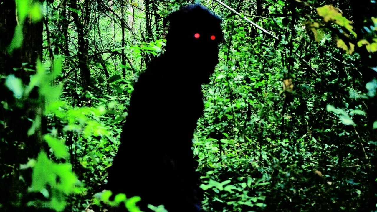 Lo zio Boonmee che si ricorda le vite precedenti