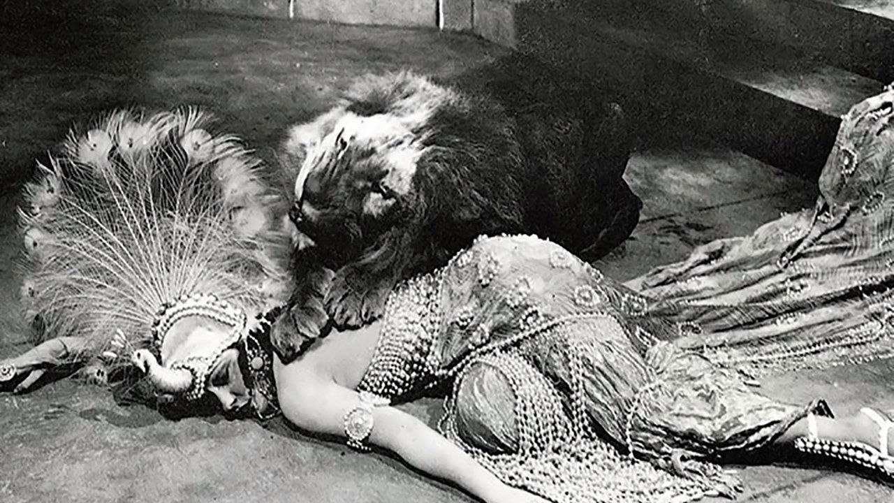 Maschio e femmina