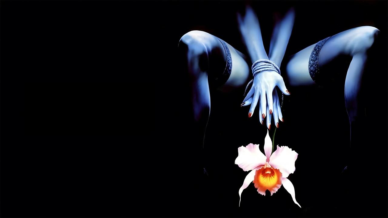 Orchidea selvaggia 2