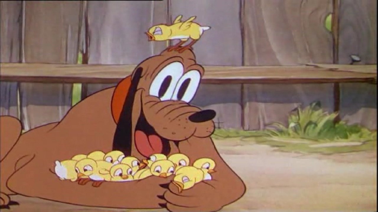 Pluto fra i pulcini