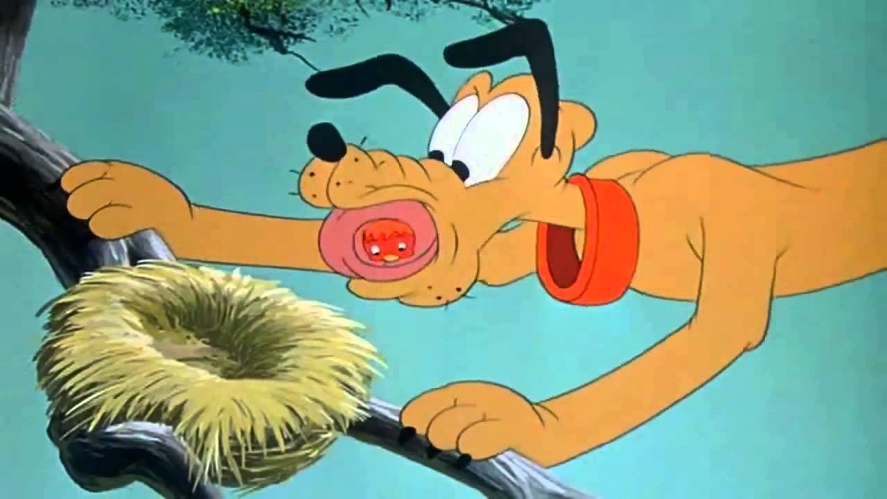 Pluto istruttore di volo