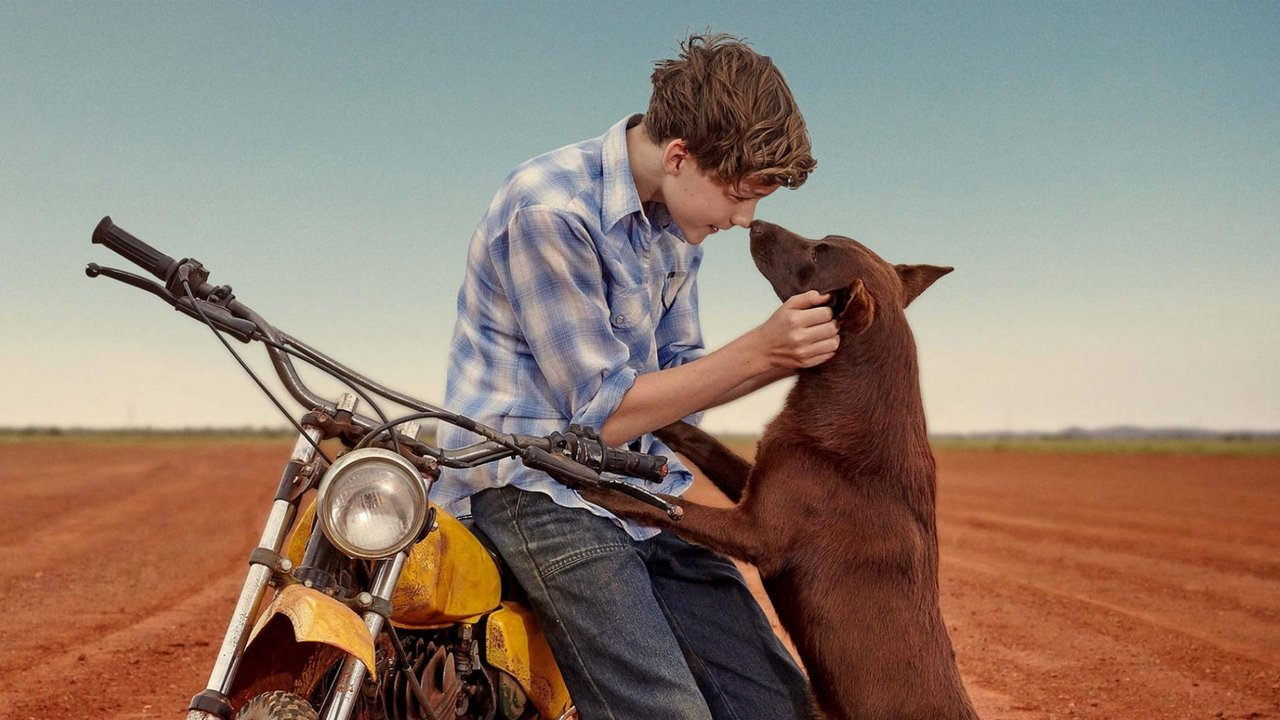 Red Dog: L'inizio