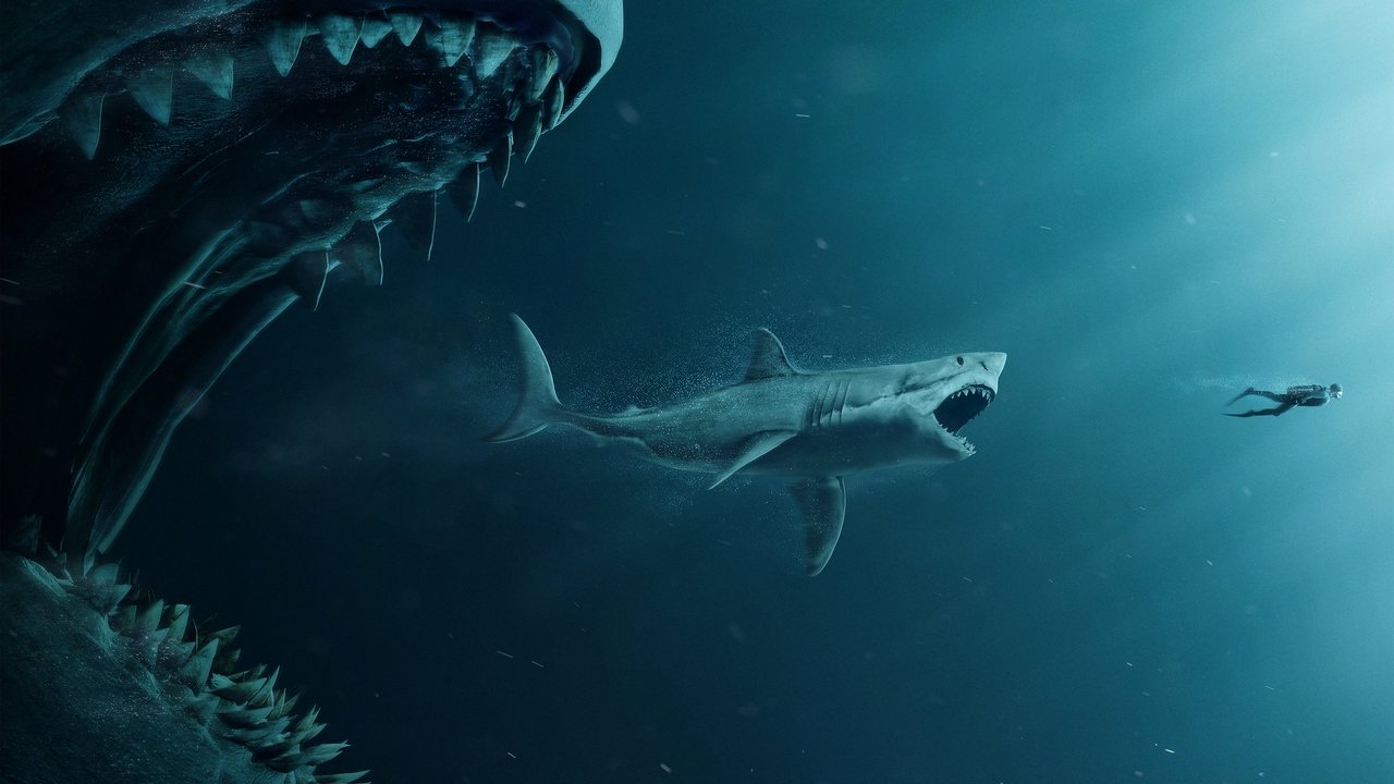 Shark - Il primo squalo