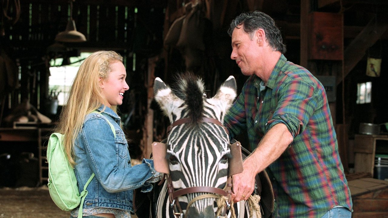 Striscia, una zebra alla riscossa