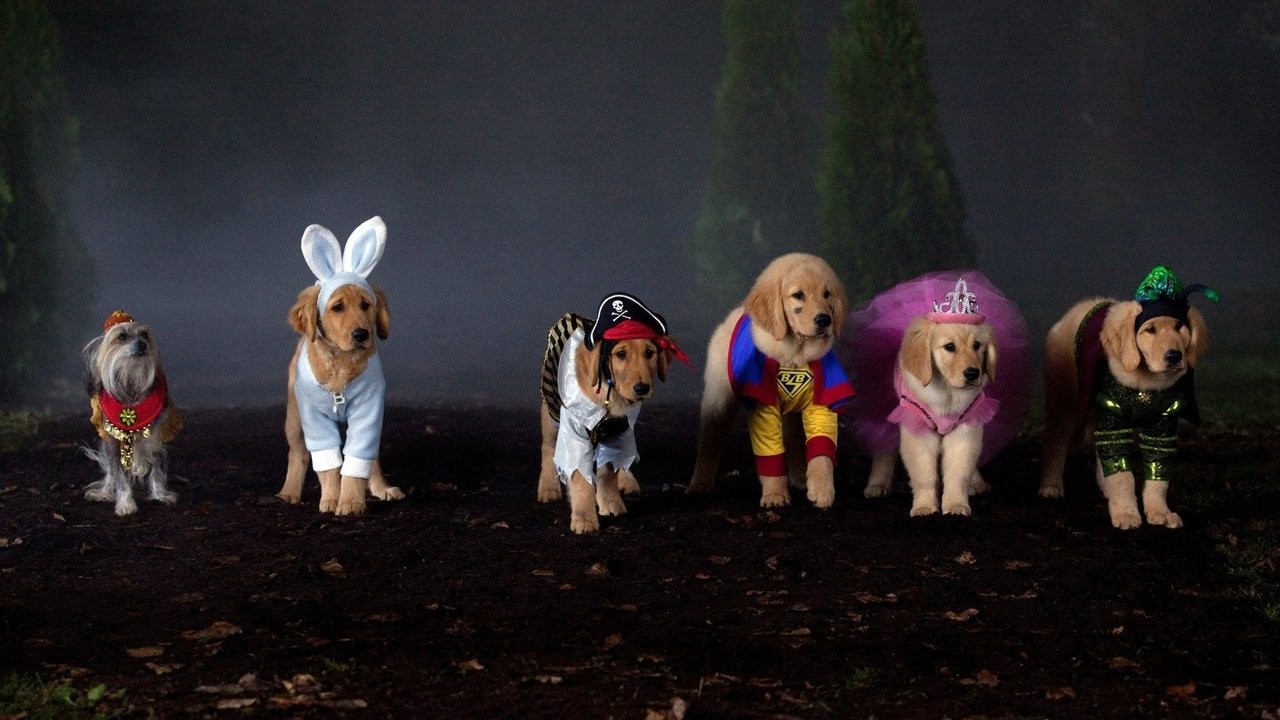 Supercuccioli - Un'avventura da paura!