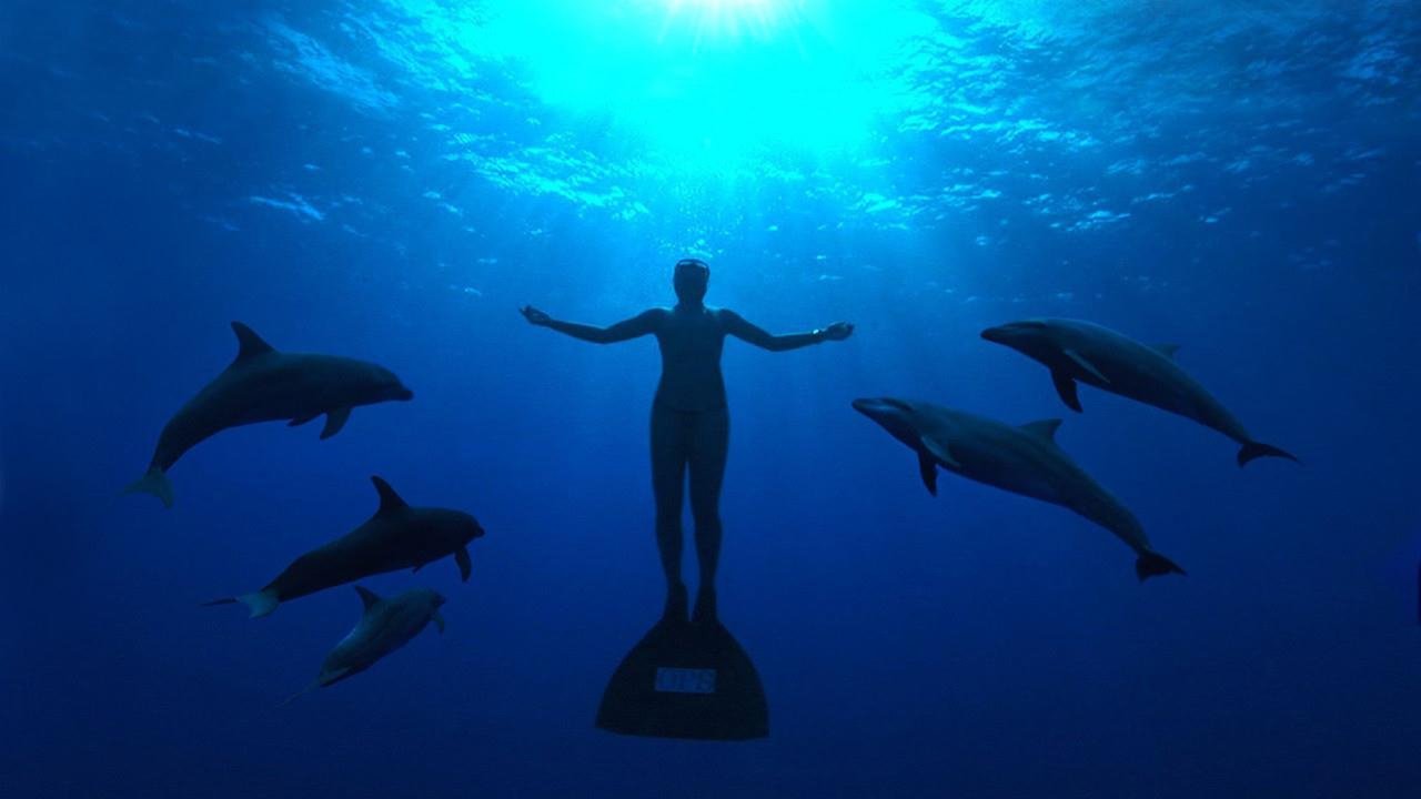 The Cove - La baia dove muoiono i delfini