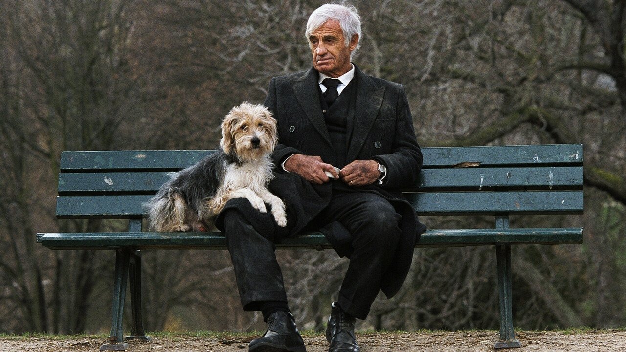 Un uomo e il suo cane