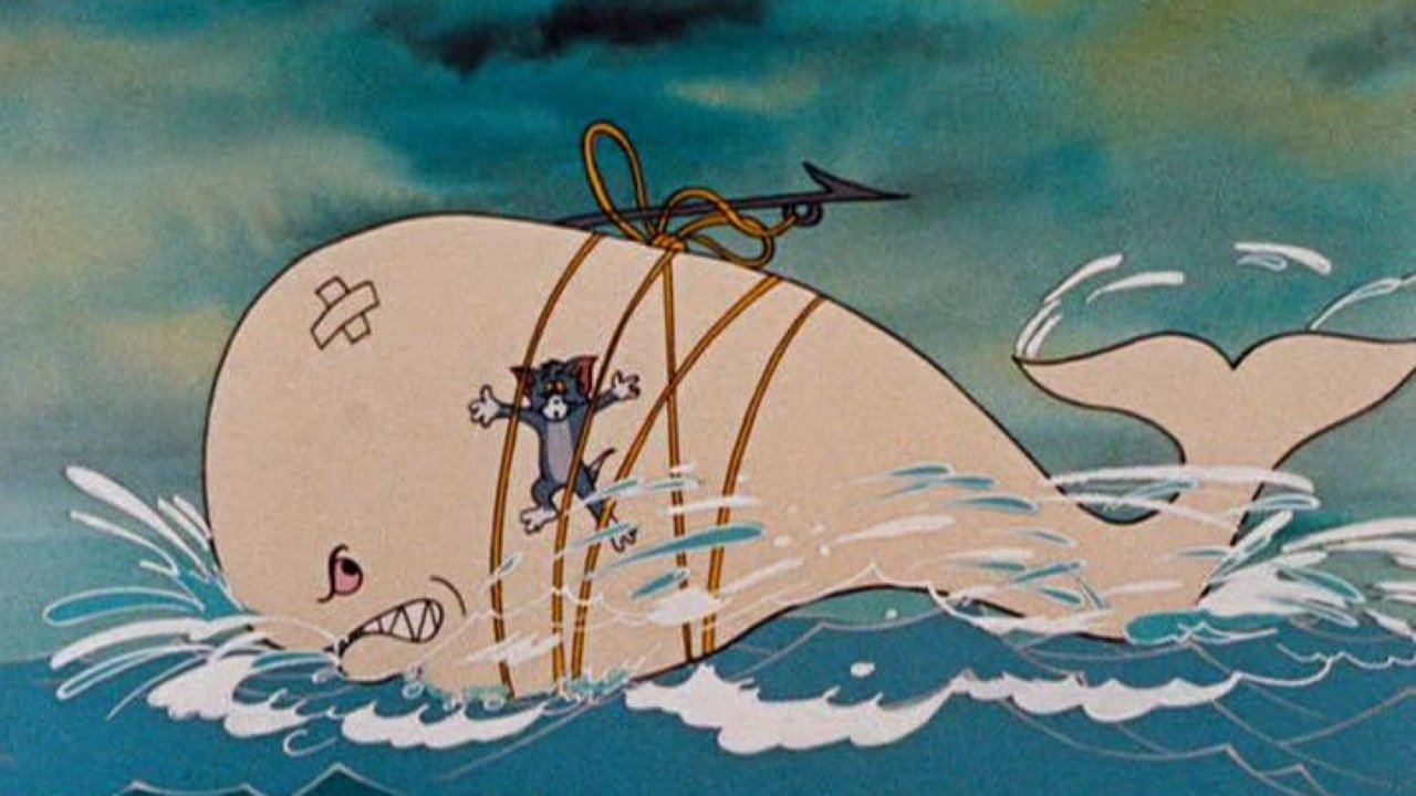 Una balena parente di Moby Dick