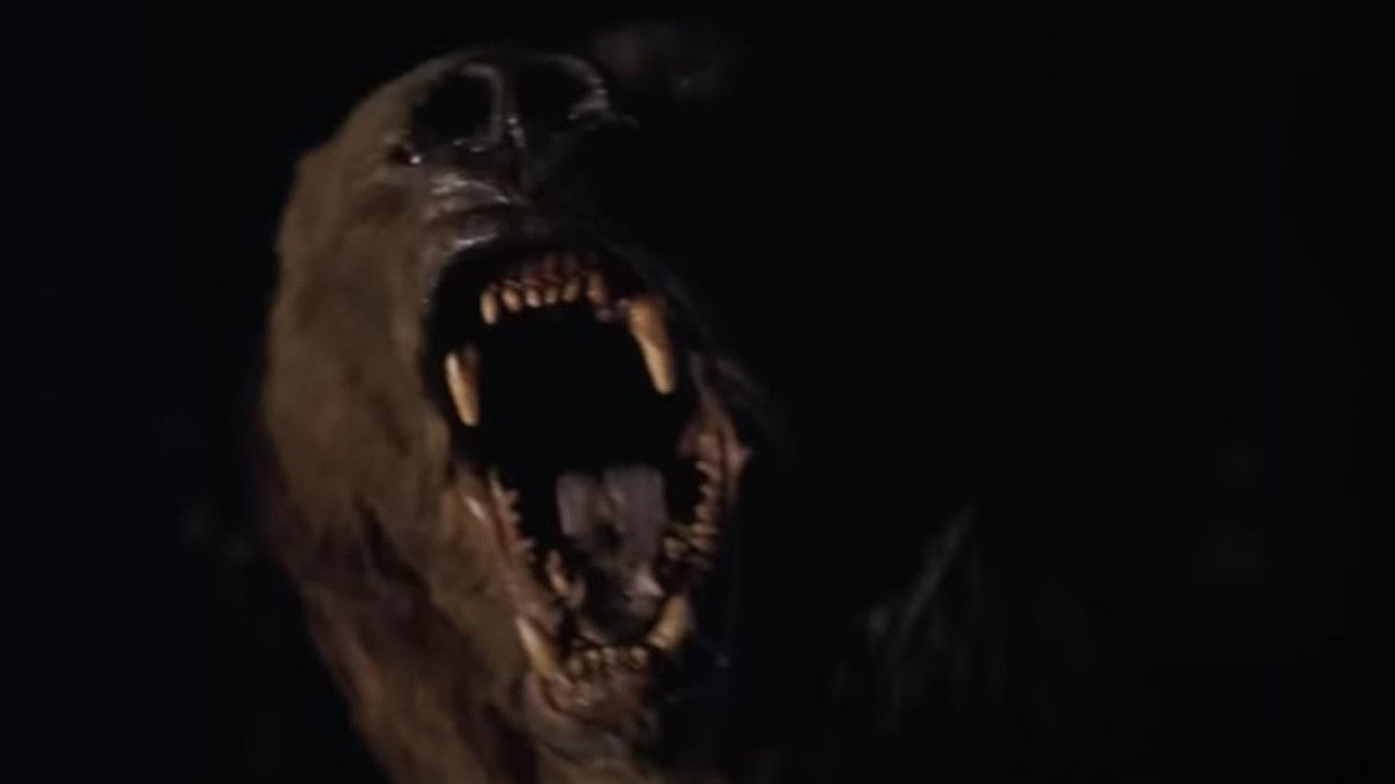 Wild Grizzly