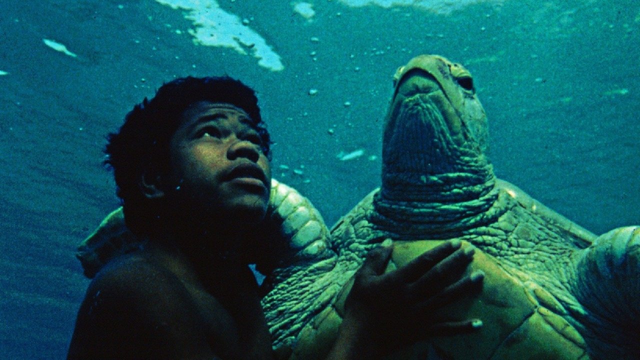 Willy e la tartaruga bianca