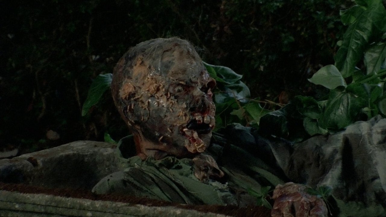 Zombi Horror