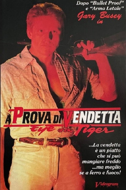 Locandina di A prova di vendetta