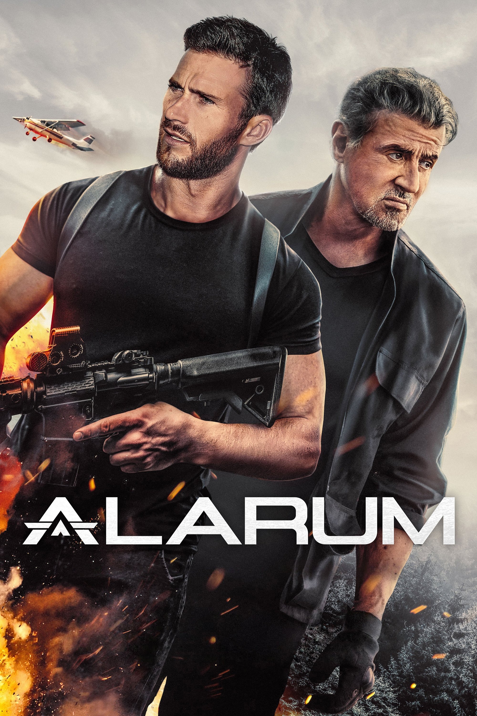 Locandina di Alarum