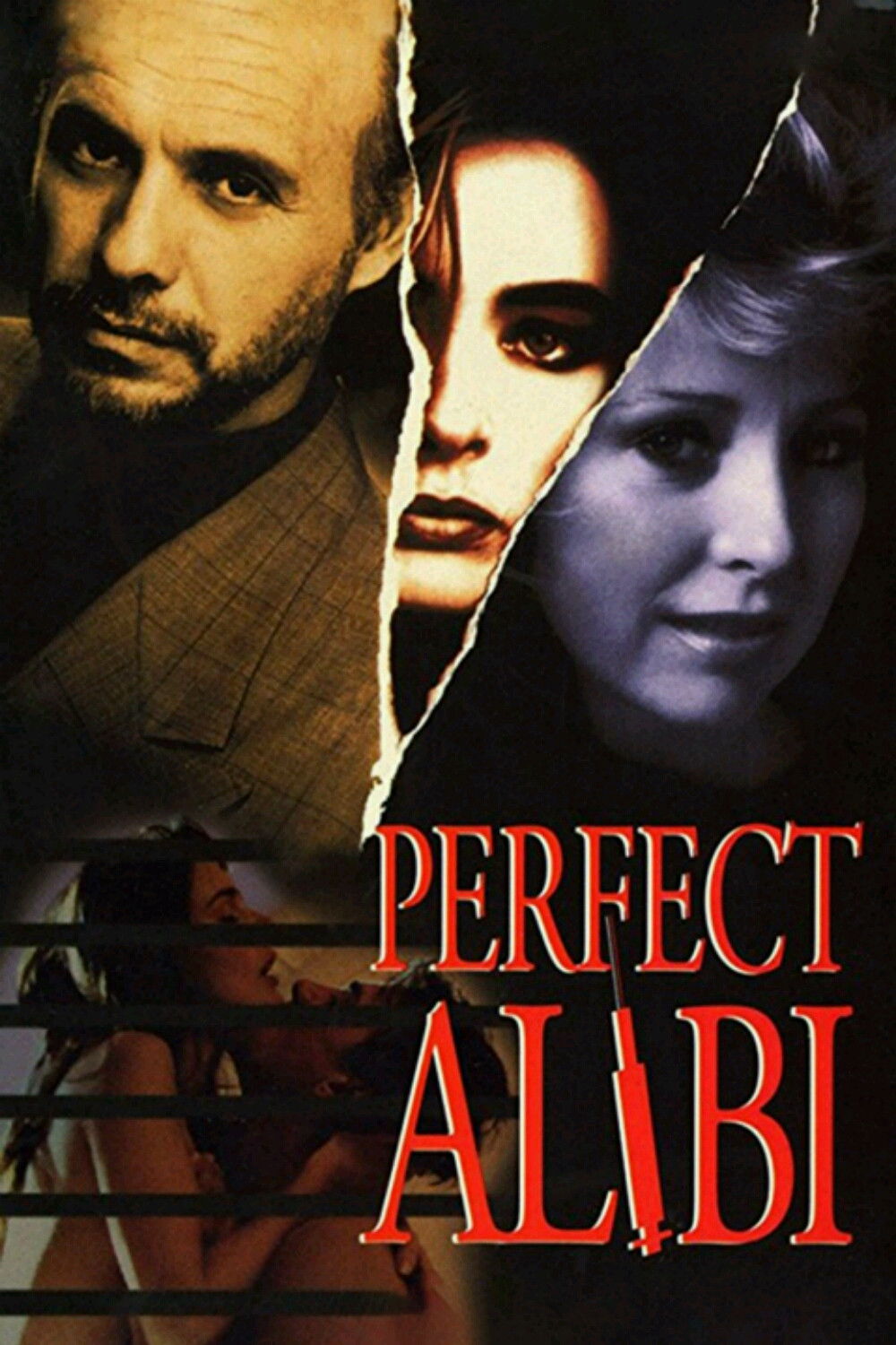 Locandina di Alibi perfetto