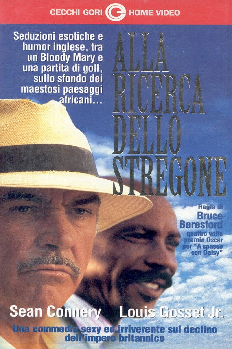 Locandina di Alla ricerca dello stregone