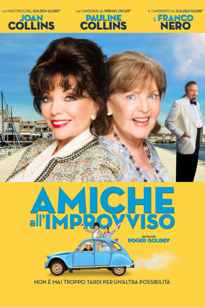Locandina di Amiche all'improvviso