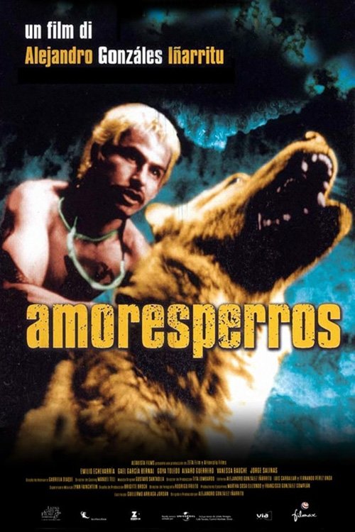 Locandina di Amores perros