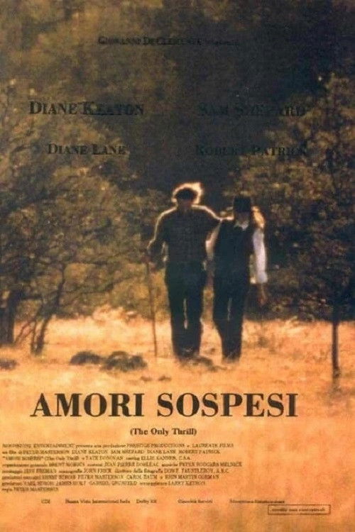 Locandina di Amori sospesi