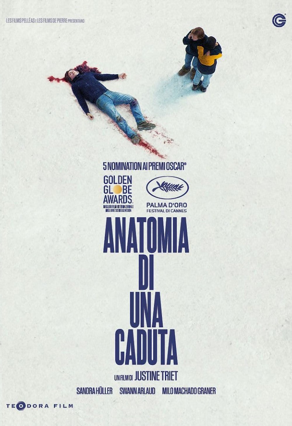 Locandina di Anatomia di una caduta