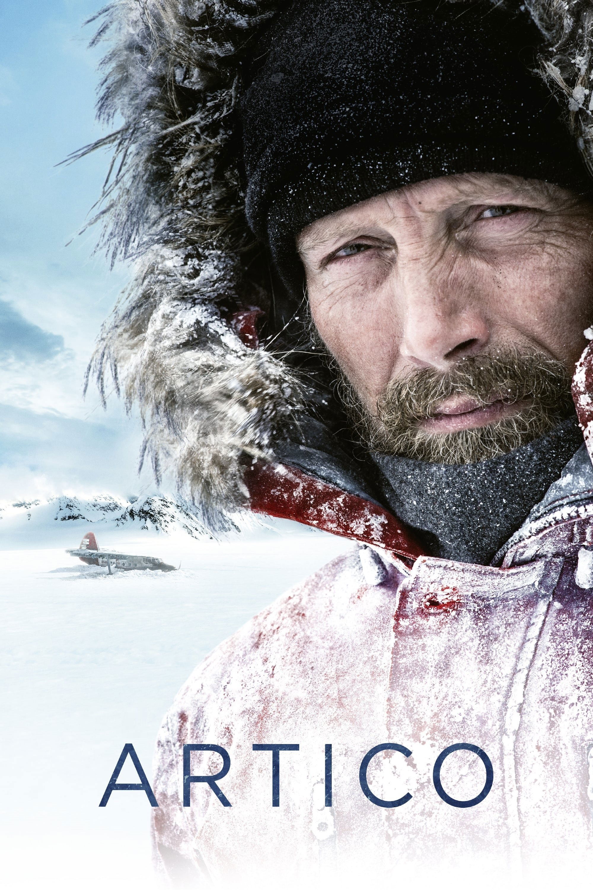 Locandina di Arctic