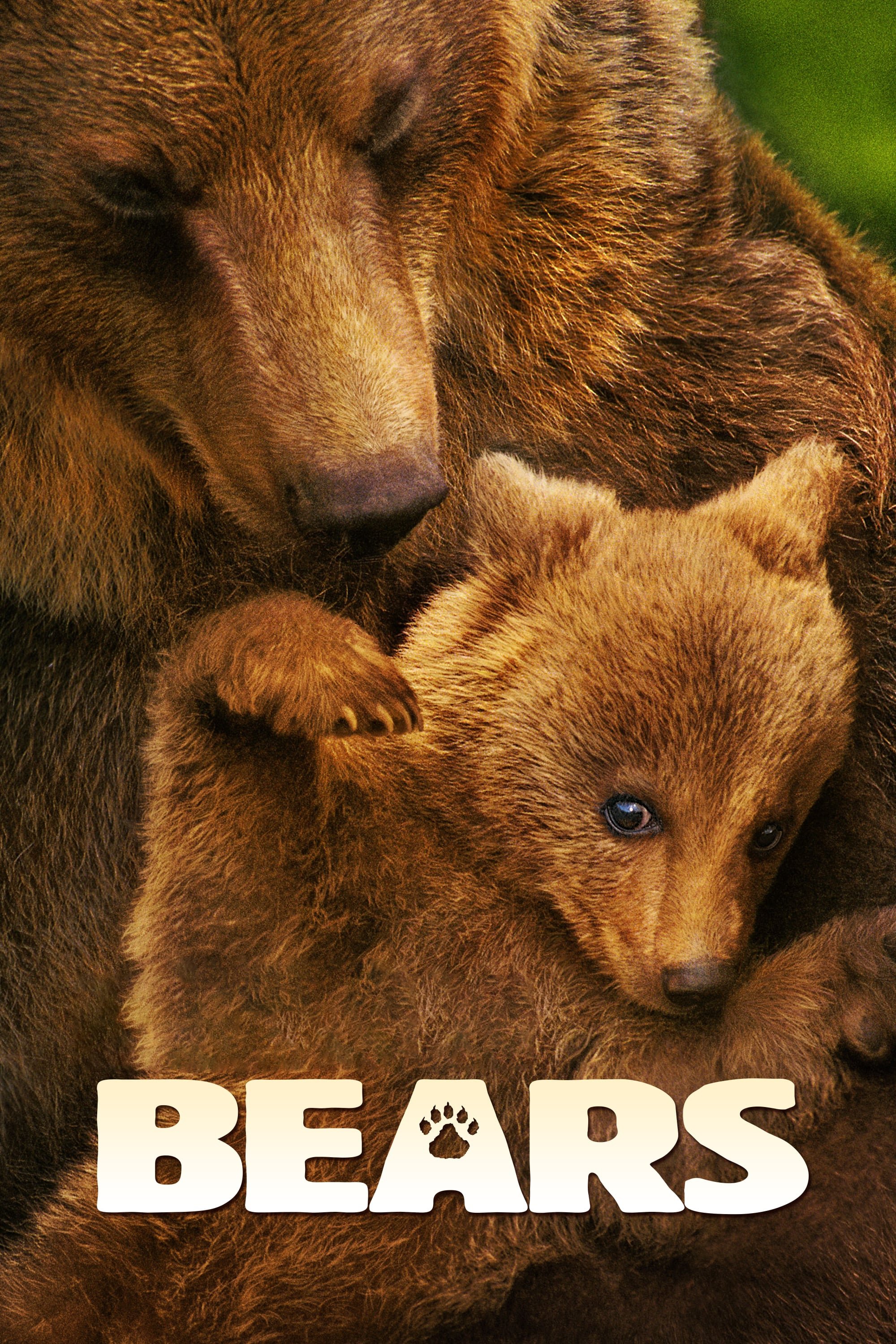 Locandina di Bears