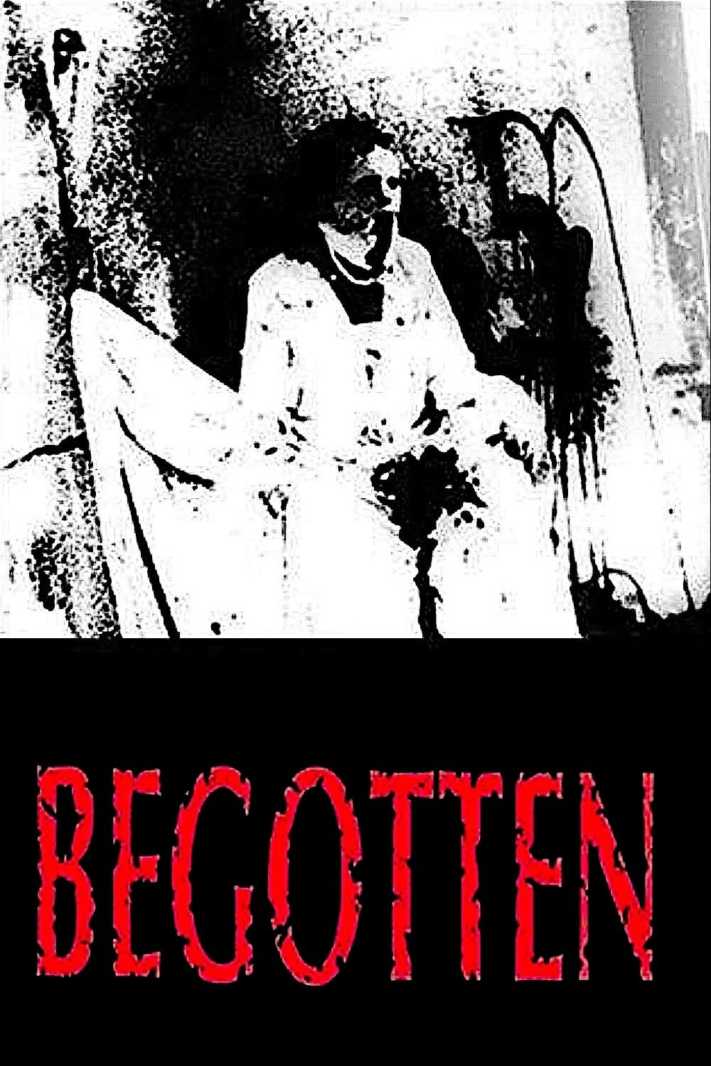 Locandina di Begotten
