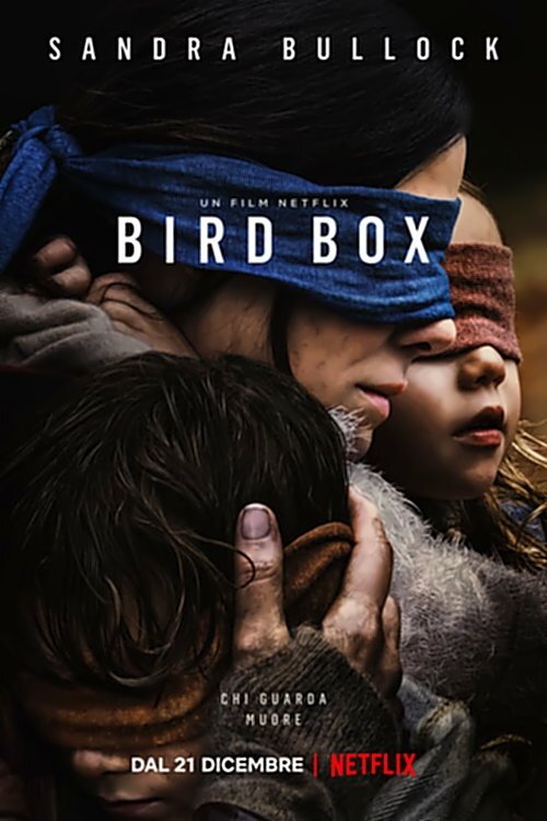 Locandina di Bird Box