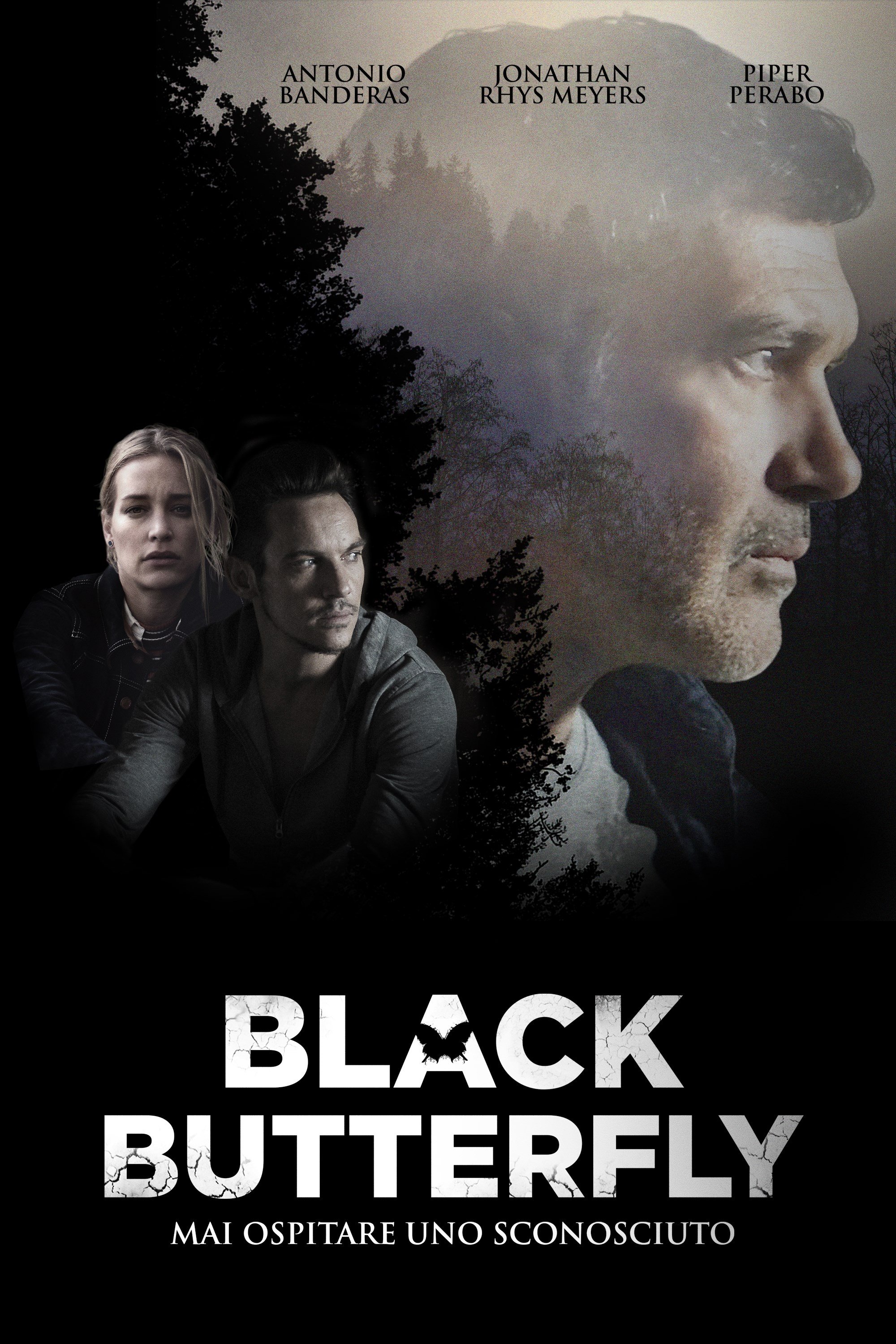 Locandina di Black Butterfly