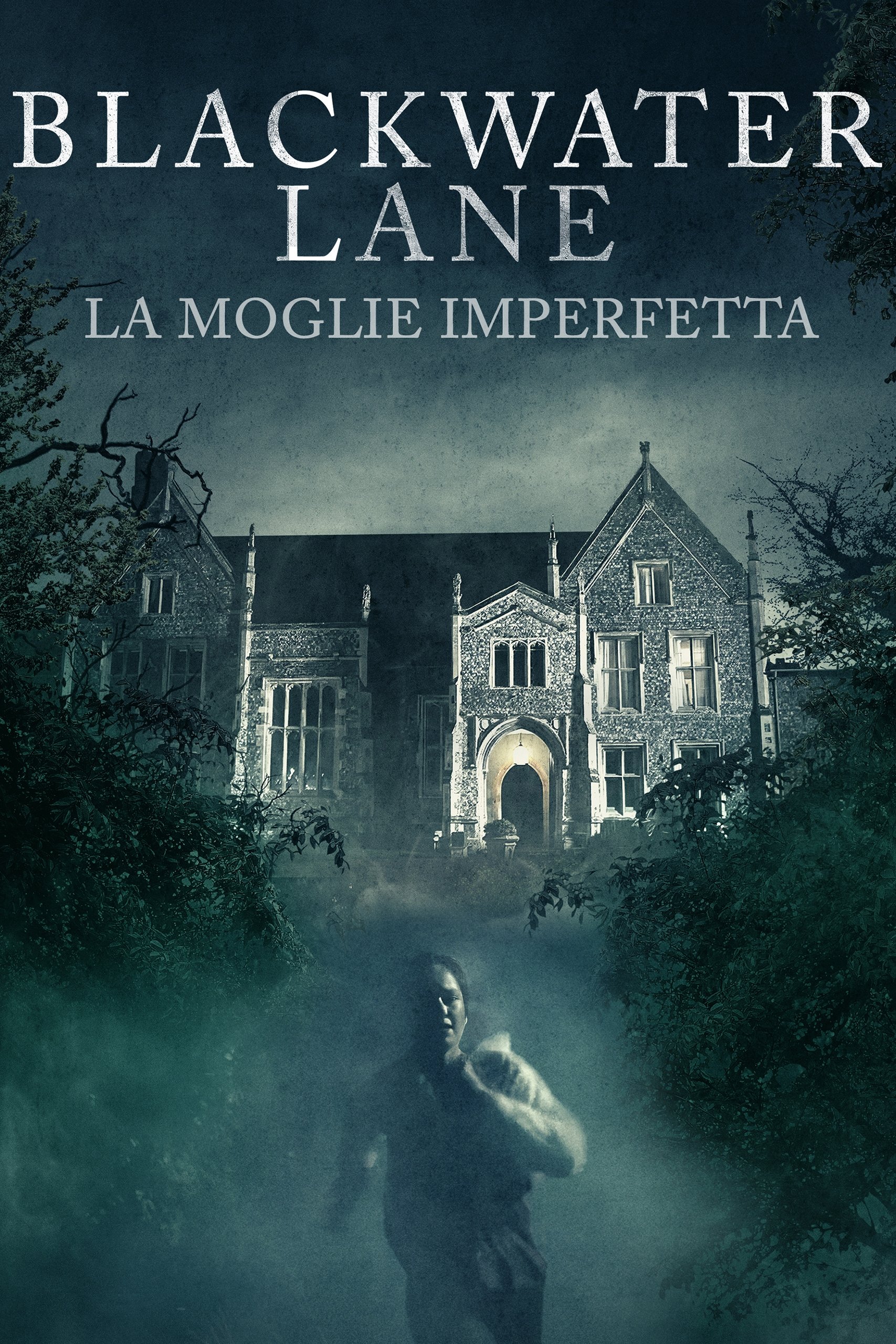 Locandina di Blackwater Lane: La moglie imperfetta