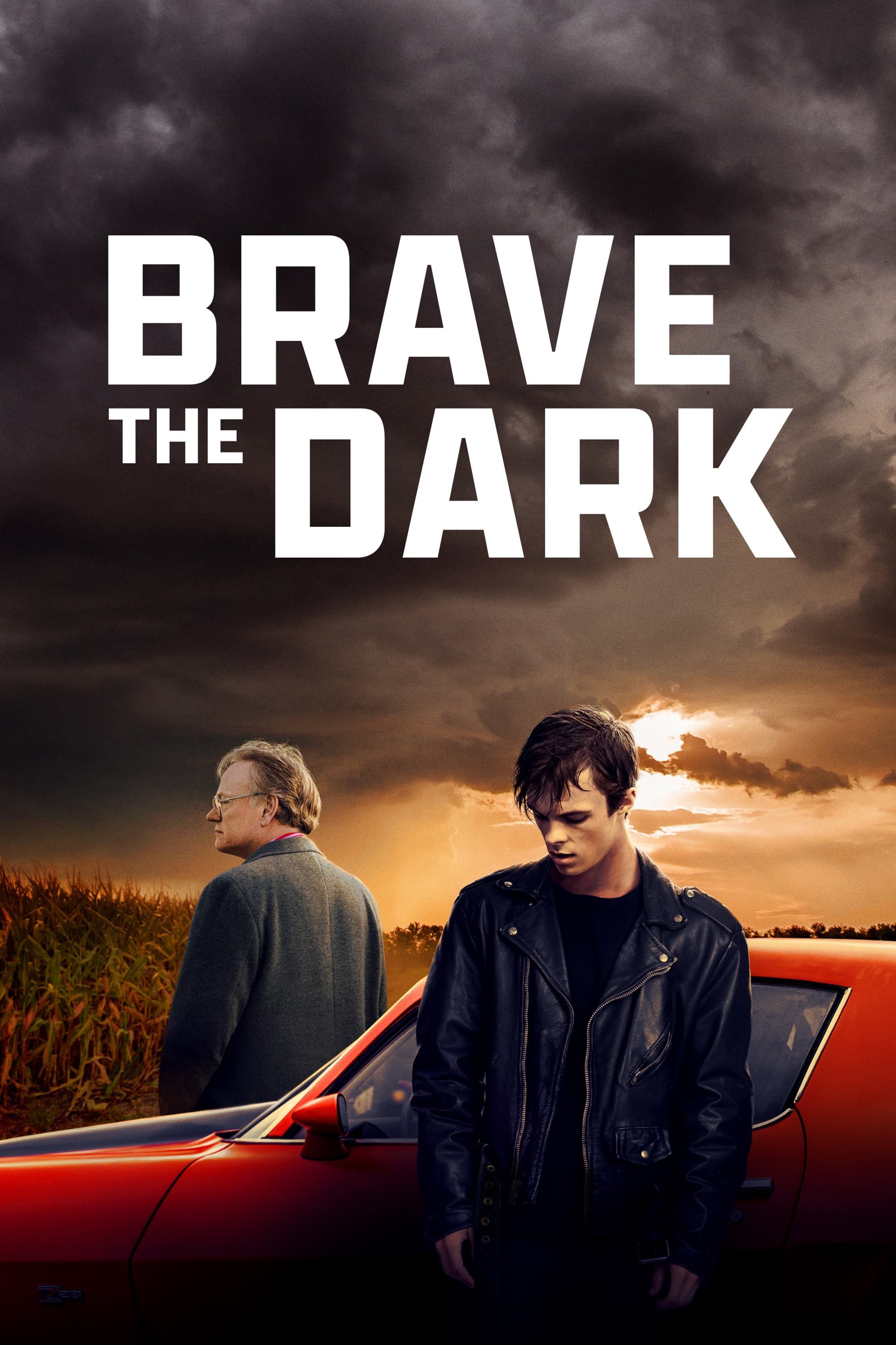 Locandina di Brave the Dark