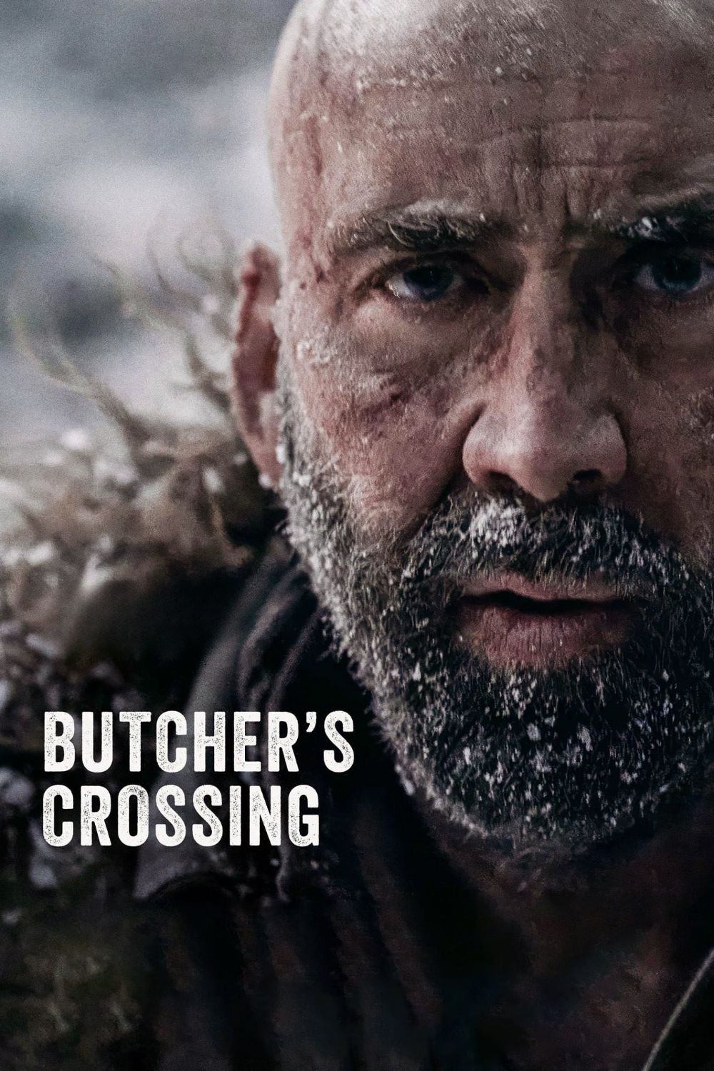 Locandina di Butcher's Crossing