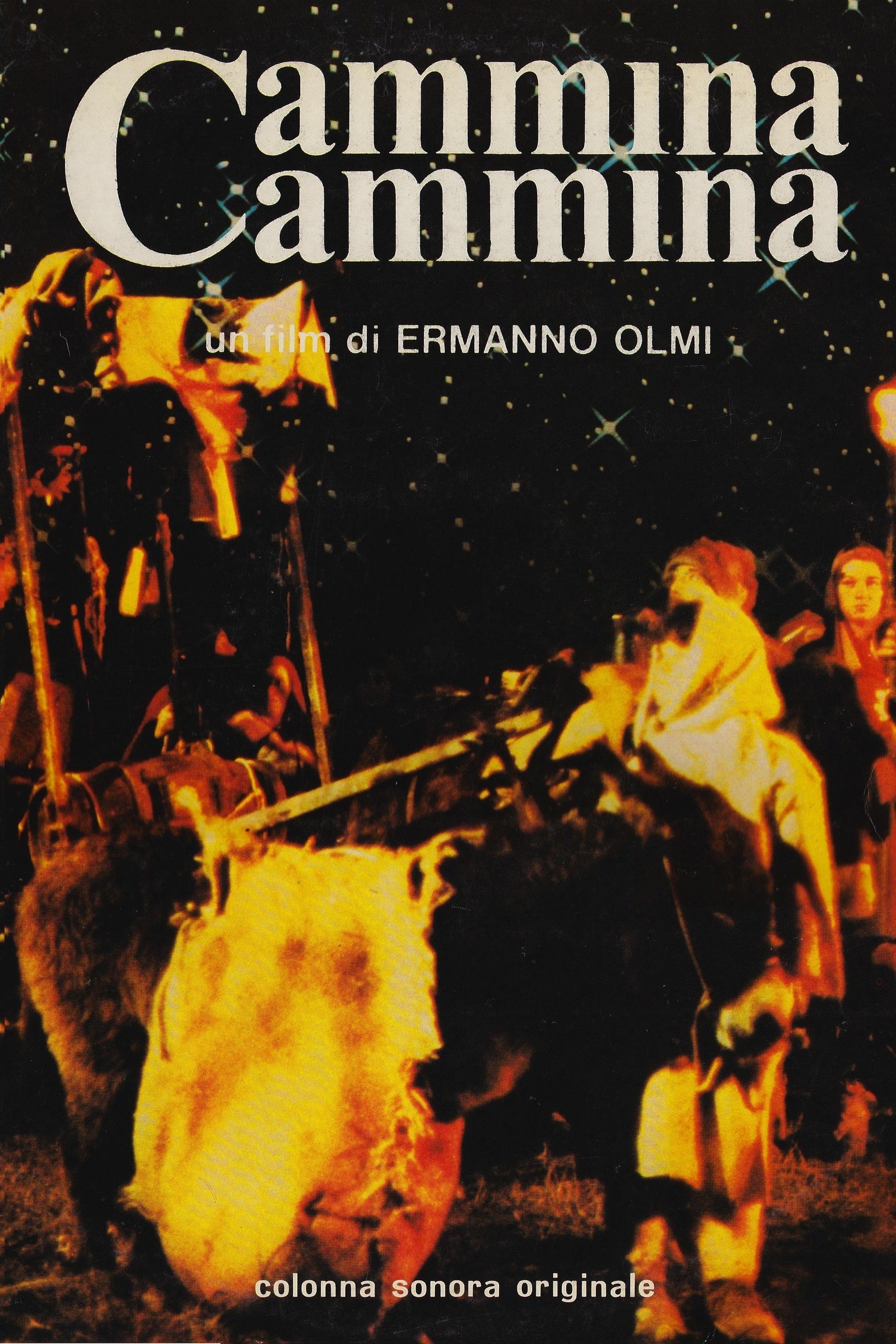 Locandina di Camminacammina