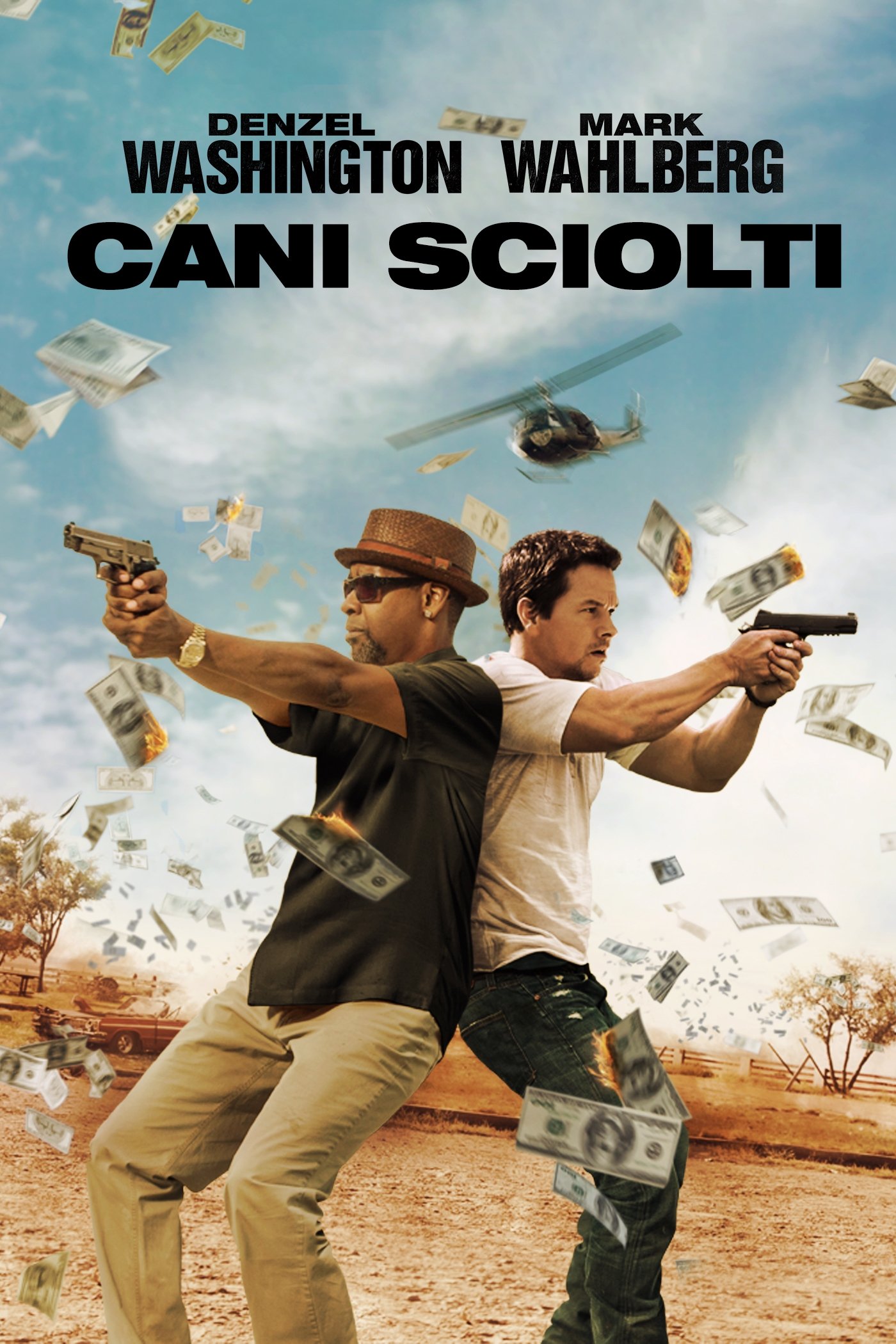 Locandina di Cani sciolti