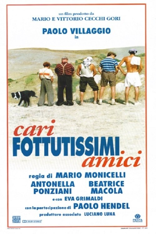 Locandina di Cari fottutissimi amici