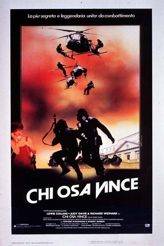 Locandina di Chi osa vince