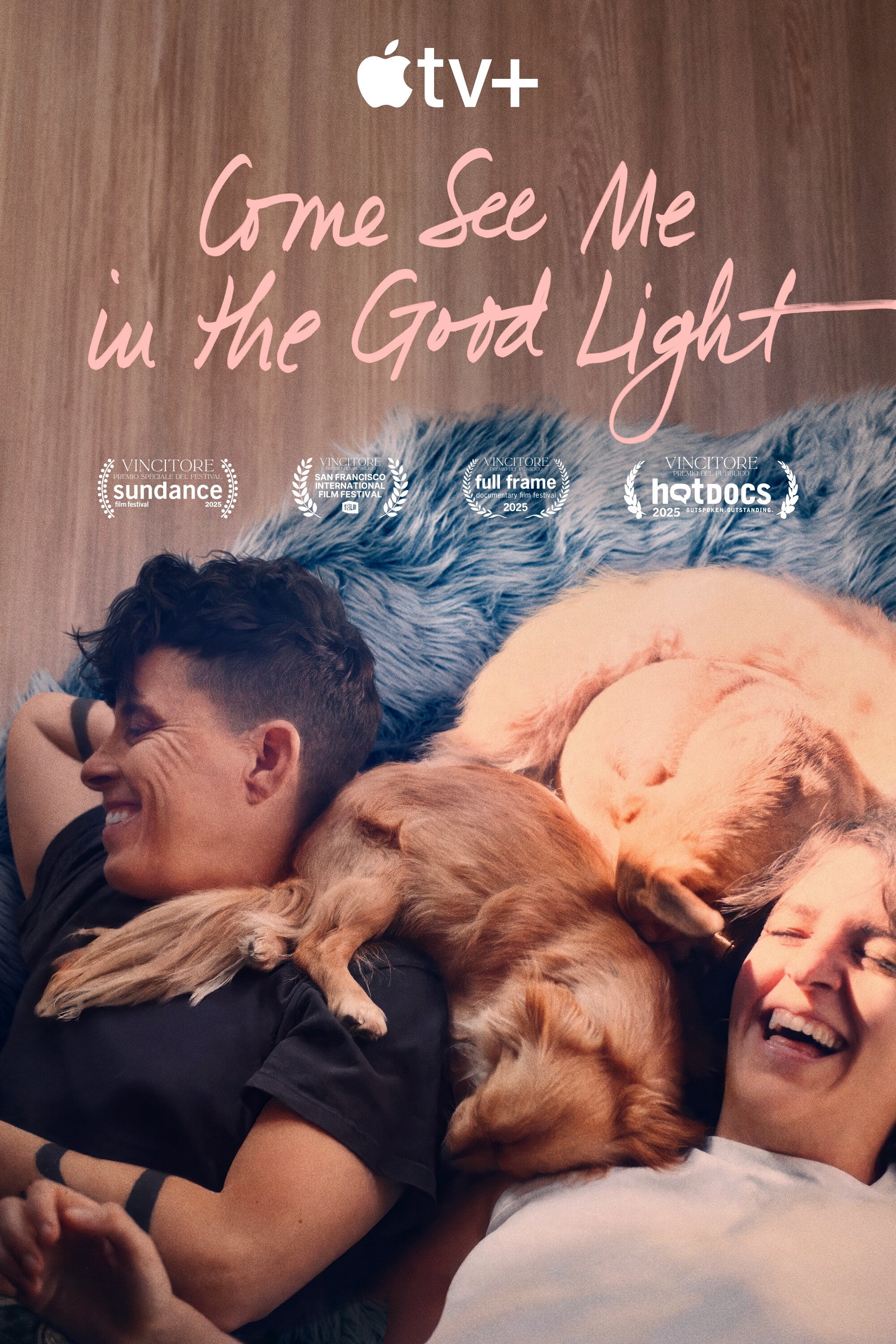Locandina di Come See Me in the Good Light