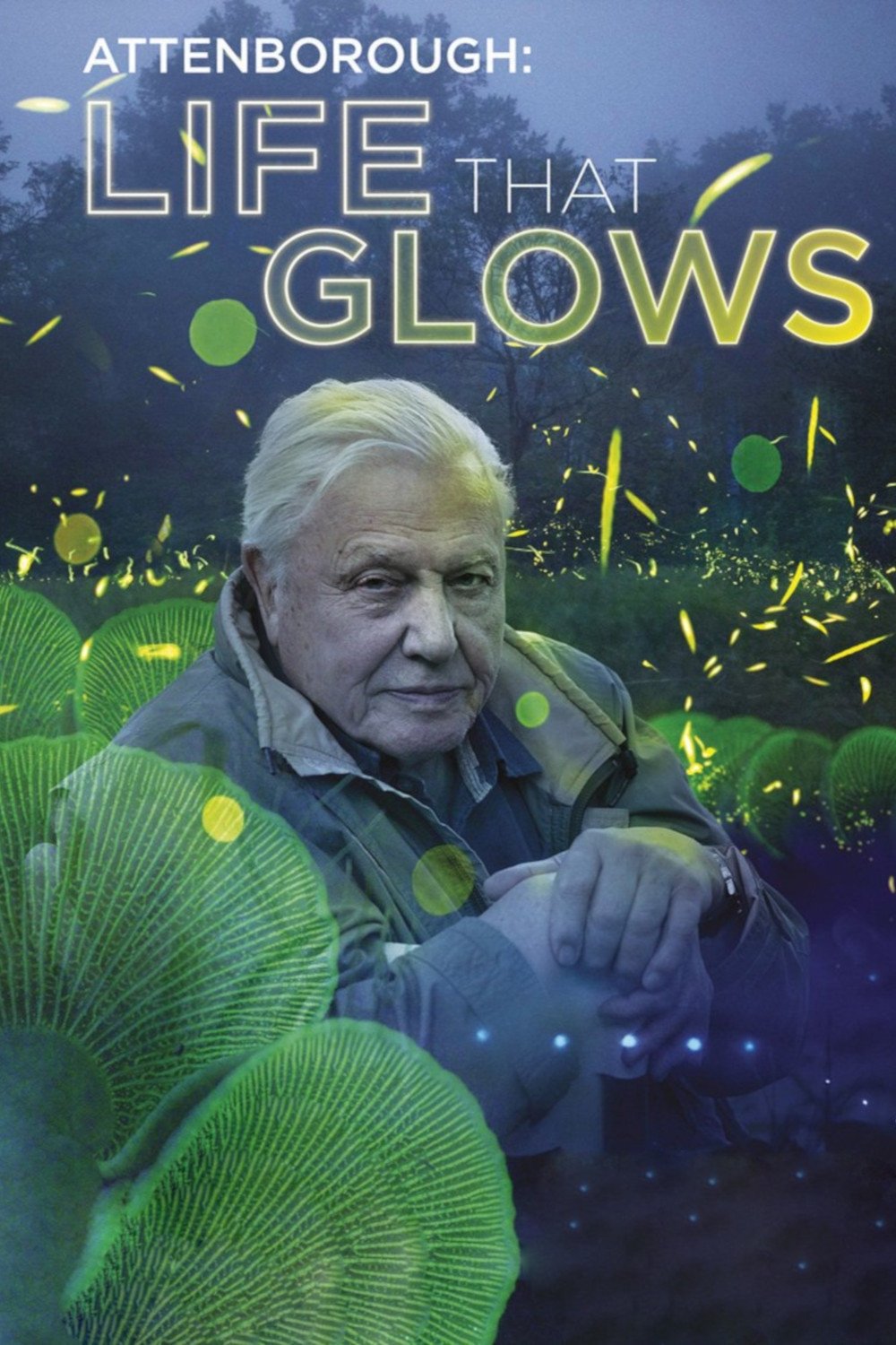 Locandina di David Attenborough - Luci sul pianeta