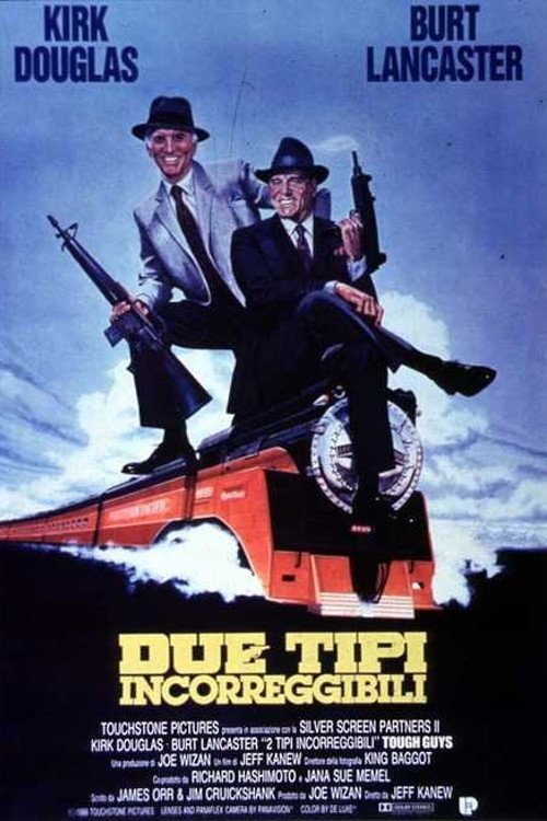 Locandina di Due tipi incorreggibili